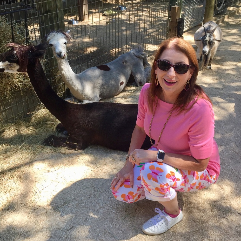 Meet your Posher, Denise